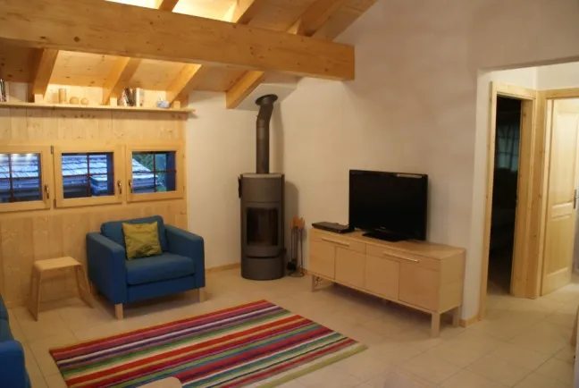 Living room with wood burner and TV