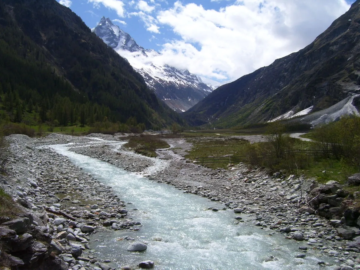 Summer mountain river